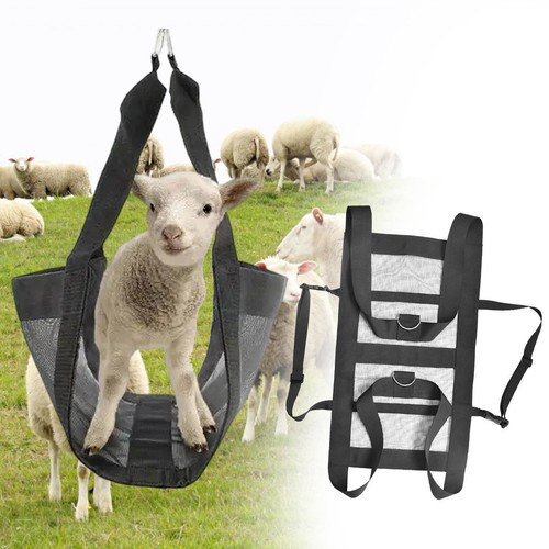 Calf sling for weighing small - for,