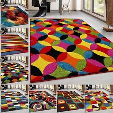 Multi Colour Large Area Rugs