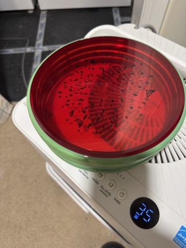Watermelon tempo axiom mvp - tempo,
