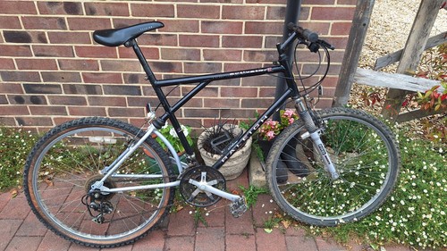 Raleigh activator 90s - -,