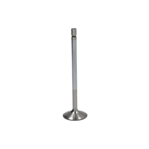 Intake valve fits - intake, daf