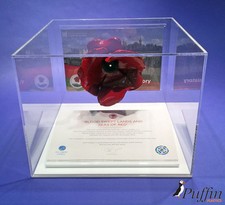 Tower Of London Ceramic Poppy Display Case (White)