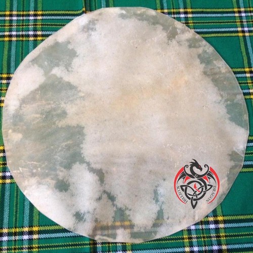 Banjo drum head - head, skin
