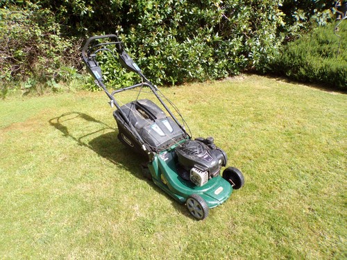 Webb petrol lawn mower - webb, rear