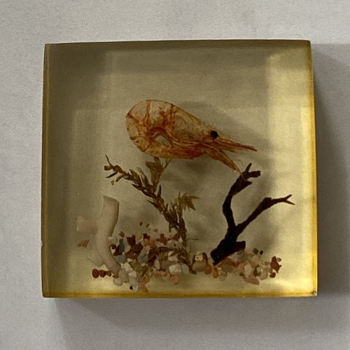 Vintage lucite acrylic - vintage,