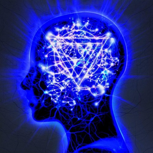 Enter shikari mindsweep - enter,