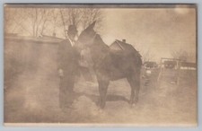 Man with Horse in Backyard