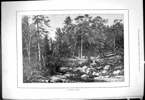 Original old antique print - old,