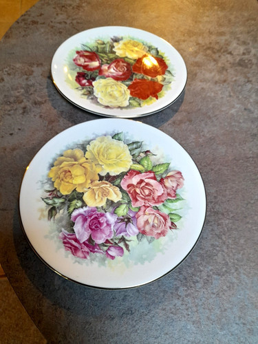 John owen exeter floral - owen,