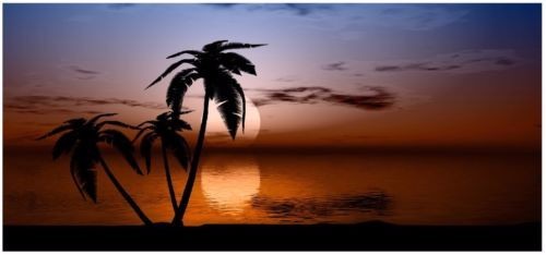 Tropical sunset camper - camper, rv