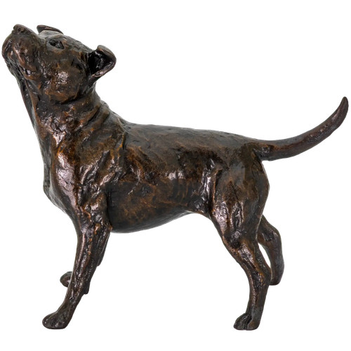 Richard cooper limited edition - richard,