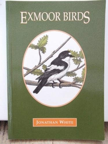 Exmoor birds white - birds, by