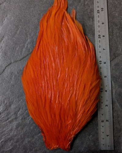 Bright orange magnum chinese - magnum,