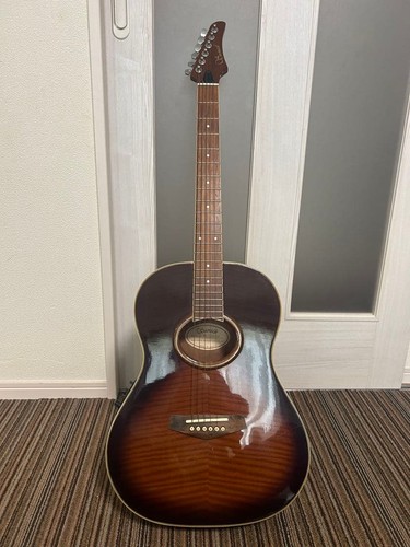 Samick 500brsb acoustic - samick,