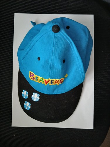 Beavers scouts official - official, kids