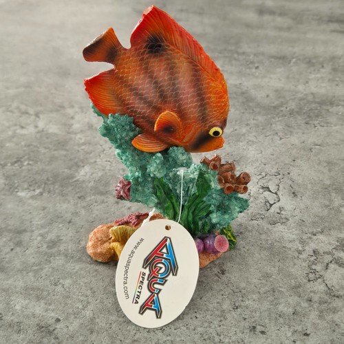 Aqua spectra angel fish with - angel,