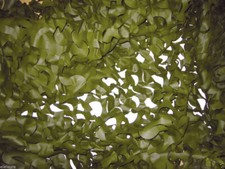 Jack Pyke Camo Hide Net