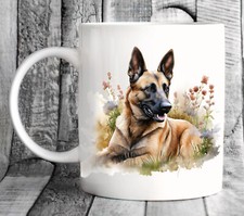 Belgian malinois shepherd - belgian,