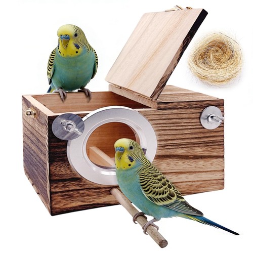 Kathson parakeet nesting - kathson,