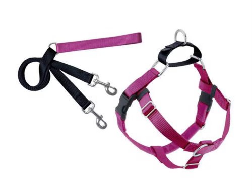 Hounds design raspberry - 2,