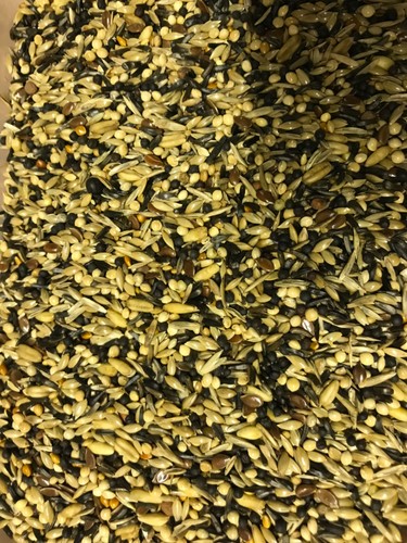 Goldfinch siskin seed cage - goldfinch, seed,