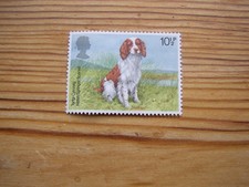 MNH 10.5p stamp Welsh Springer
