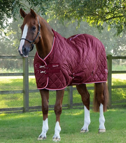Premier equine tuscan stable - equine,
