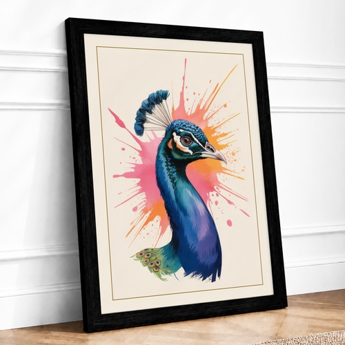 Peacock colour burst modern - colour,
