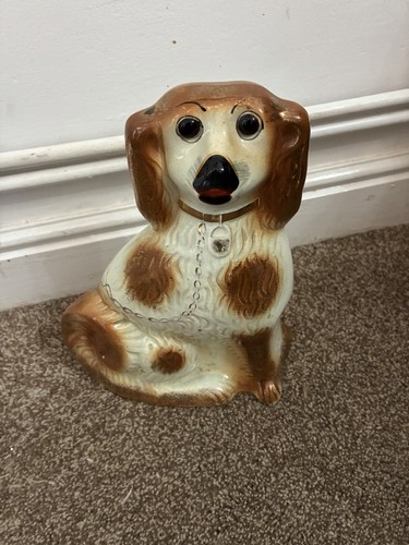 Staffordshire spaniel dog - spaniel,