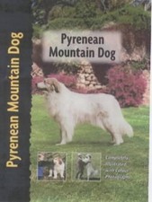 Pyrenean mountain dog berger - pyrenean, (berger