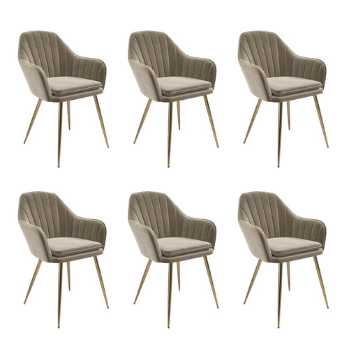Set mink velvet - 6, dining