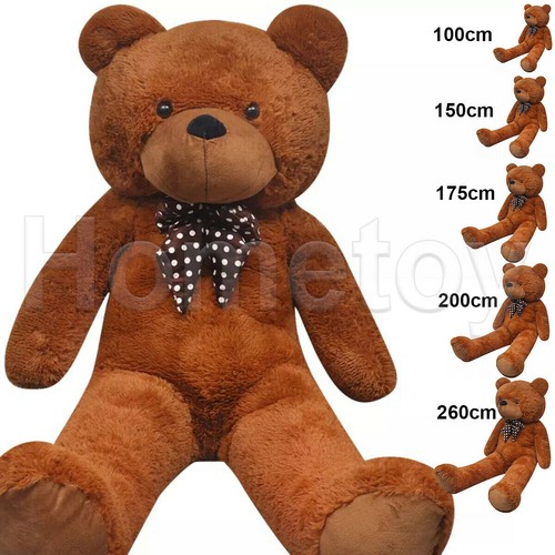 Large teddy bear - teddy, xxl