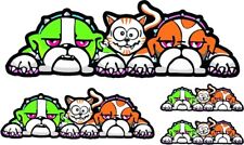 VALENTINO ROSSI dog and cat