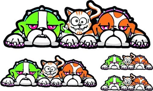 Valentino rossi dog - valentino, cat