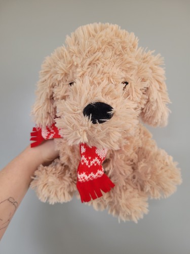 Tesco curtis the cavapoo - the, with