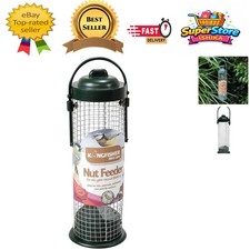 Kingfisher Green Bird Nut
