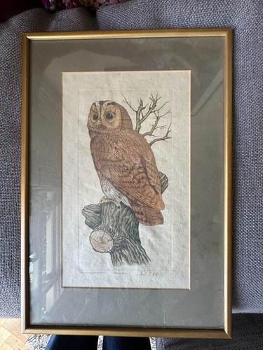 Vintage stuart lafford signed - stuart,