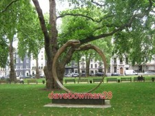 PHOTO  SCULPTURE IN BERKELEY