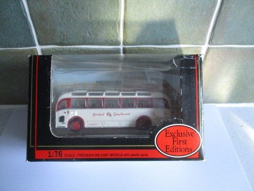 Efe bristol greyhound - efe,