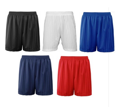 Shadow stripe shorts school - shorts,