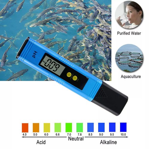 Pocket meter fish tank - pocket,