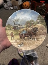 Wedgewood The Midday Local