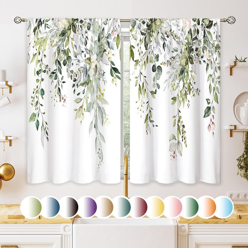 Eucalyptus botanical leaves - eucalyptus,