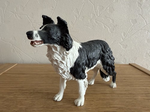 Border collie dog standing - border,