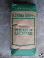 Pensacola Bahia Pasture Grass
