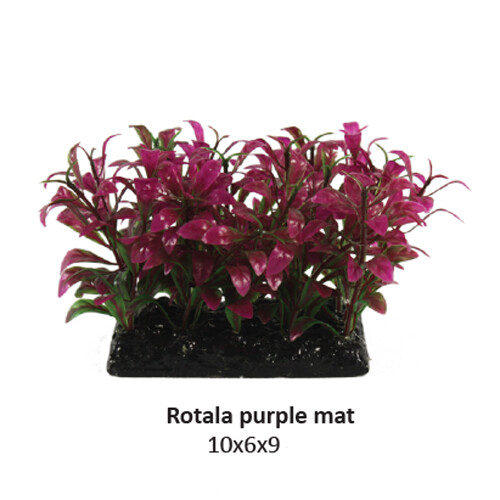 Artificial sea fans - fans, aquarium