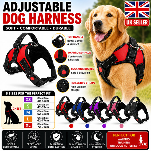 Dog harness pull - pull, for
