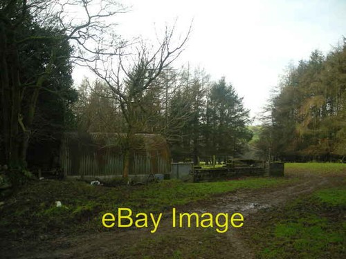Photo 6x4 sheep - pens, llanwnnen