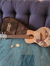 Rare Luna Ukes concert ukulele