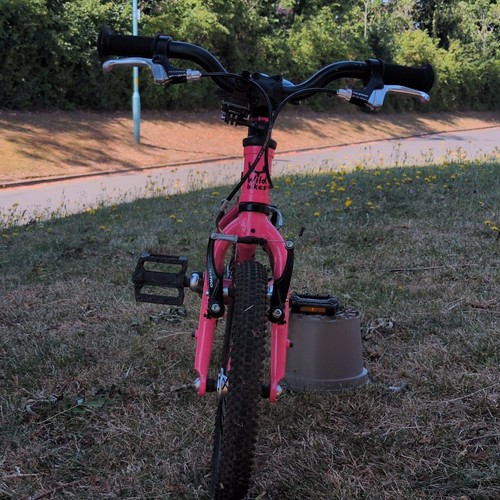 Wild bikes 14in pink - wild,